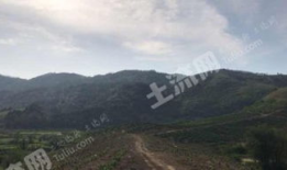 广西土地爆料最新消息今天,最新爆料揭示土地市场新动向”